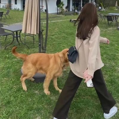寻找埃里克